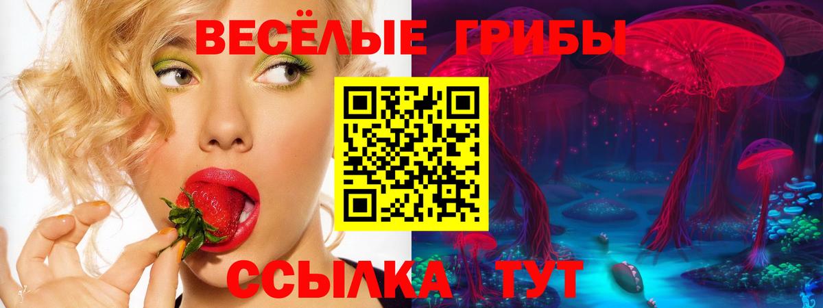Бердск  Галлюциногенные грибы мицелий  Псилоцибиновые грибы мухоморы  Вход с VPN 