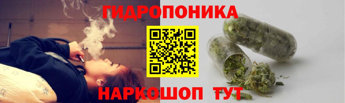 Канабис Bruce Banner Бердск